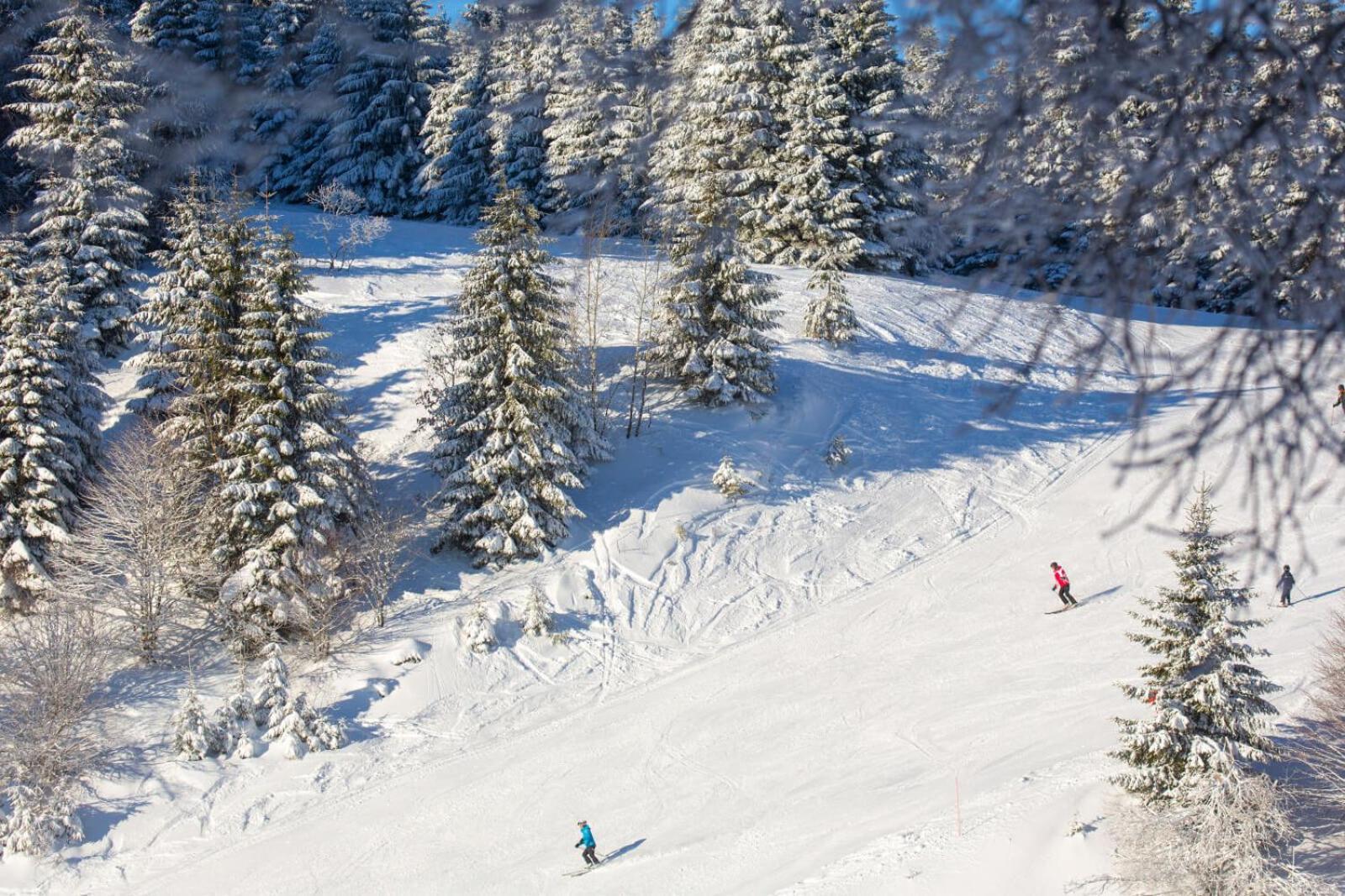 Chic T3 60 M2 Cosy 1 A 6 Personnes Rando, Nature, Bike Park, Station De Ski Le Bonhomme Exterior foto
